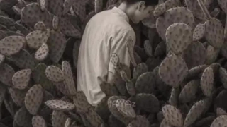 همینقدر دردناک...