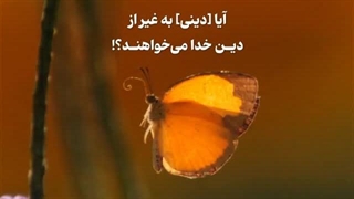 دین خدا - سوره آل عمران آیه ۸۳ (قرآن مهر)