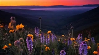 ملاقات الهی - سوره غافر آیه ۱۴ الی ۱۶ (قرآن مهر)