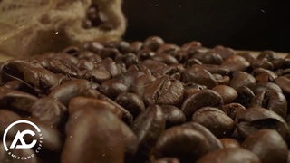 معرفی و راهنمای قهوه روبوستا