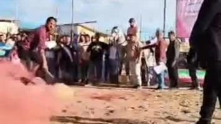 پرورش اسب قافلان در میانه