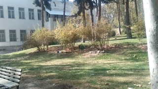 کاخ سعدآباد