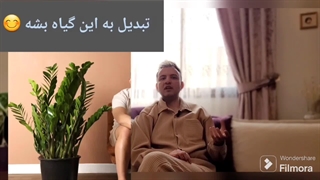 کود مخصوص پاجوش زدن زاموفیلیا با سینا فتاح زاده