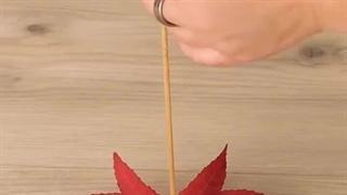 ساخت  آدمک با برگ درختان پاییزی