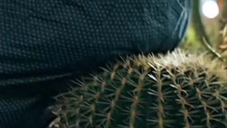 فـــک نکنم خوب باشیا فقت اخرش