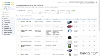 ۲۹ - راهنمای مدیریت محصول