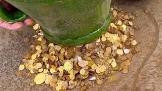 پیدا کردن گنج در دل بیایان