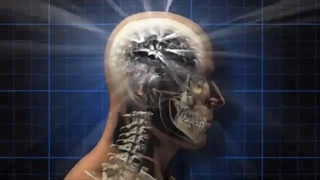 هشت ویتامین معدنی که بعد از پنجاه سالگی حافظه و قدرت مغز را تقویت میکند