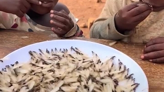 کهکشان راه شیمی