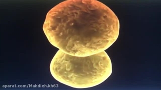 علوم تجربی چهارم دبستان | درس نهم: بدن ما (1) | تقسیم سلول