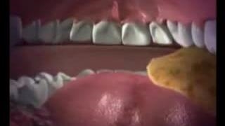 علوم تجربی چهارم دبستان | درس نهم: بدن ما (1) | جذب غذا