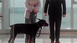 سریال عشق نمایشی قسمت 2