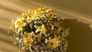 دل گفت وصالش به دعا باز توان یافت...