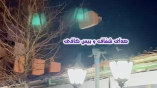 اسپیکر دکوراتیو ضدآب برای حیاط و باغ | تست واقعی در فضای باز ؛ با هوم آدیو