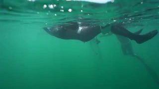 رکورد جهانی جدید حبس نفس در عمق 56 متری