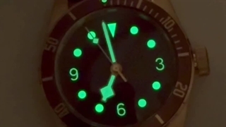 نمایش یکی از زیباترین مدل‌های تودور | مناسب استایل لوکس