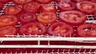 تولید میوه خشک از شما، خریدش با اسوه صنعت (کسب درآمد خانگی تضمینی)