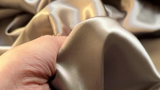 ساتن ال ایکس بیسکوییتی