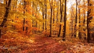 میکس زیبا متولدین پاییز