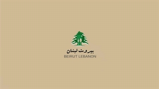ساندویج کباب ترکی وقتی انرژِی افتاده حسابی می چسبه