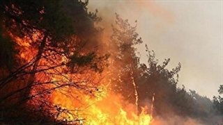 نخستین تصاویر هوایی از جنگل‌های آتش‌گرفته الیت