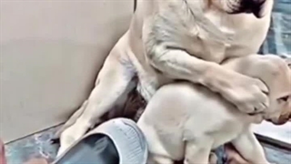 مادر که بچه می خاست بزن