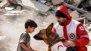 تیدا سگ قهرمان