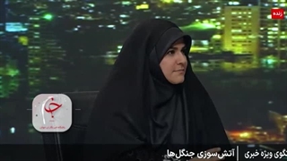 واکنش عجیب رئیس سازمان منابع طبیعی به سوال در مورد خسارت آتش‌سوزی جنگل الیت