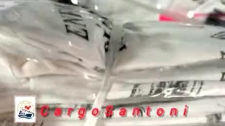 بازرسی کالا در مجموعه کارگو سانتونی