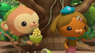 S03E18–The Malabar Giant Squirrel