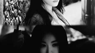 میکس سریال چینی عشق در سرزمین فیروزی،  چوب خیزارن