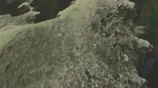 ای پیکو میرم بالاااا سلامتیت حالااا