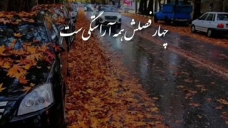 من چه می‌دانستم دل هرکس دل نیست...