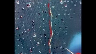 هنر خانم Riona Buthello