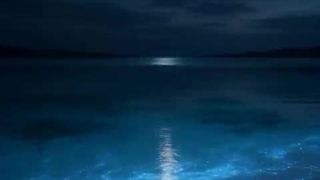 فصل دوم رمان THE EDICTION (اعتیاد) پارت پنجاه و سوم