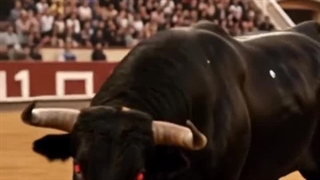 کرم تاخیری ماتادور