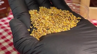 گرده گل یا خاویار گیاهی