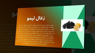 زغال لیمو – تجربه‌ای نو و متفاوت از هر بار قلیان : نت جا