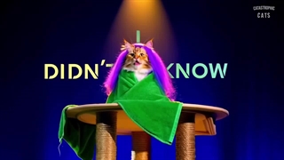 موزیک ویدیو آهنگ Golden "گلدن" از HUNTR"هانتریکس" ورژن گربه