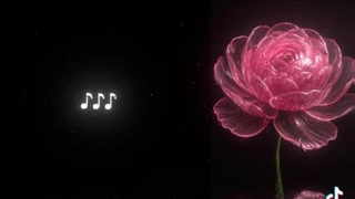 تو تیک تاک سرچ کنید (my vibe of song) آهنگ اولی وایب شمارو میده,,, مال من این در اومد,,, چالش ویدیو سالی★