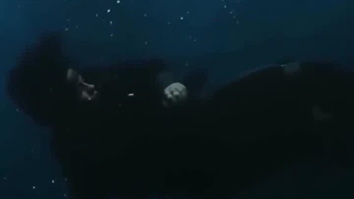 بیلی اعتقادی به پرده سبز نداره برای همین همه موزیک ویپیوهاشو خودش میسازه... بیلیه دیگه