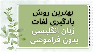 بهترین روش یادگیری لغات زبان انگلیسی بدون فراموشی: ریشه شناسی
