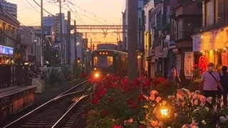 ♡☆پینترستی☆♡ (پارت 6)