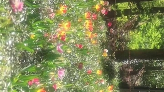 ♡☆پینترستی☆♡ (پارت 7)