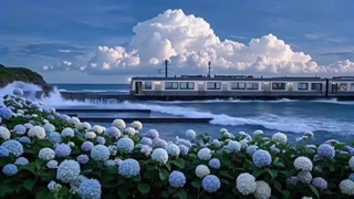 ♡☆پینترستی☆♡ (پارت 11)