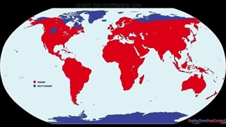 دنیای جالب و شگفت انگیز موشها را بشناسید