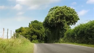 مینی‌اسکول مینی‌ها