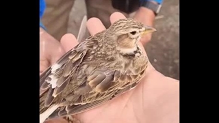 شا هم صدای شادیشون رو بشنوید