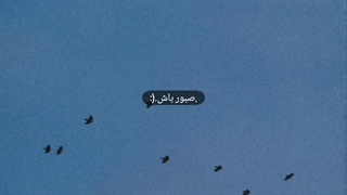 کنکور روز ۷