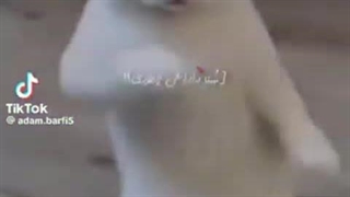 از مبینا به گورباه؛//